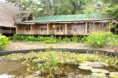 /album/fotogaleria-hotel-amazon/imagen4-jpg1/