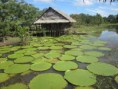 /album/fotogaleria-amazonas1/images-jpg6/